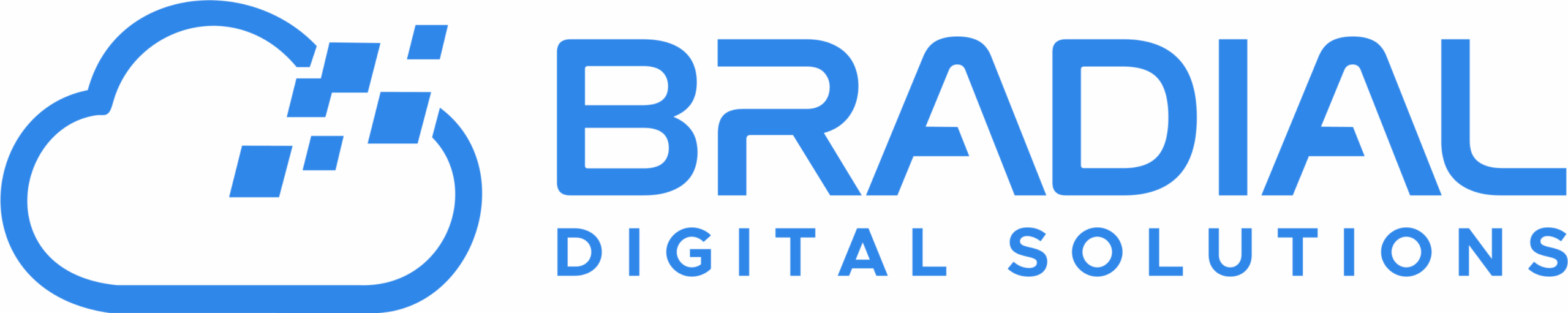 Bradial Digital Solutions